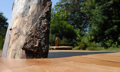 Copyrigth William Brody